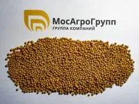 Горчица белая Рапсодия